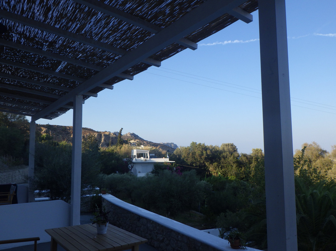 Anastasia's Garden主图