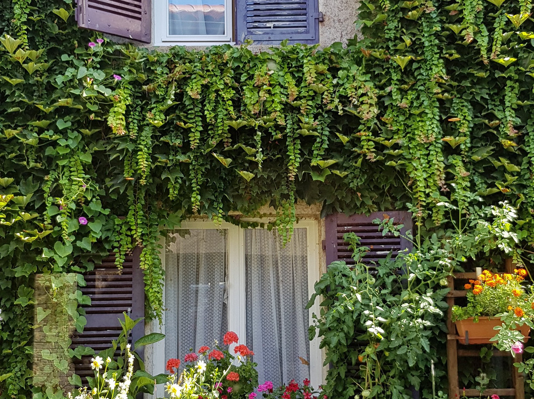 Hotel de Bourgogne主图