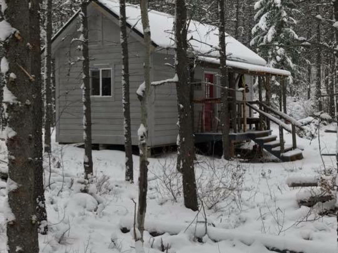 Mooseshroom Yurt Retreat & Campground