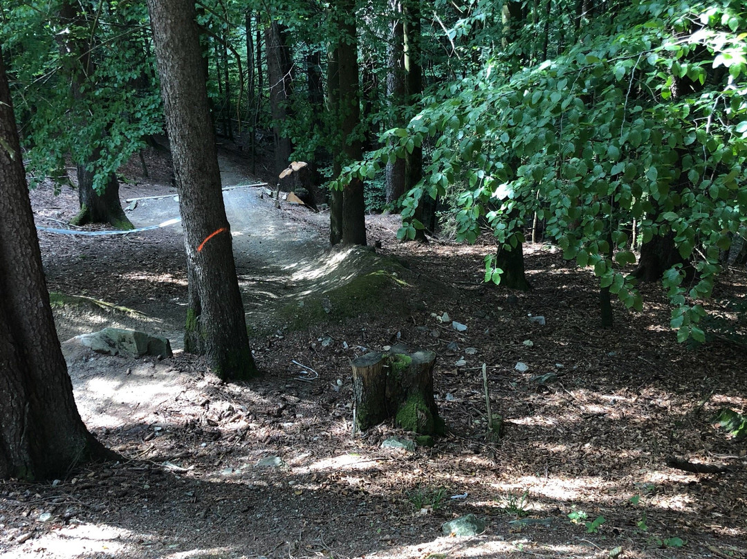 Bikepark Todtnau-托特瑙必去景点