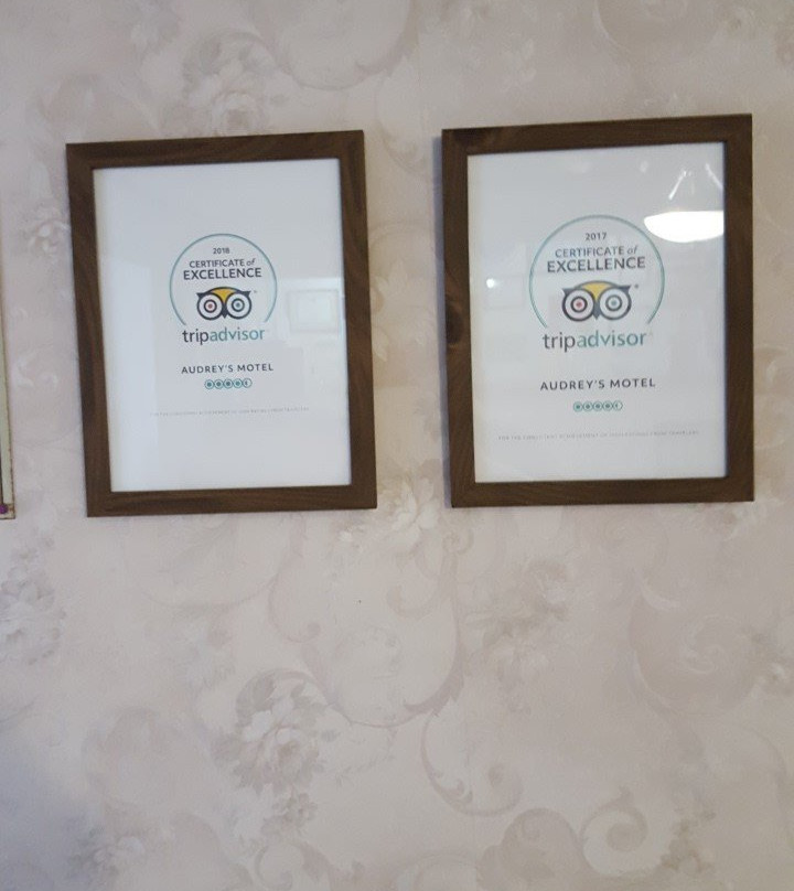 Audrey's Motel主图