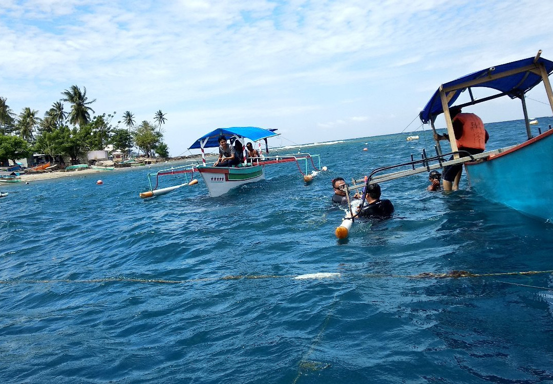 Whale Shark Sightseeing Spot景点图片