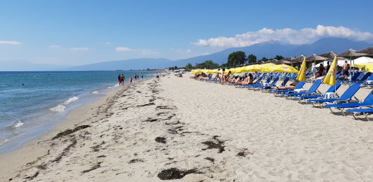 柏拉图大酒店-泳池