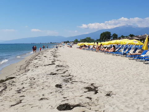 柏拉图大酒店主图