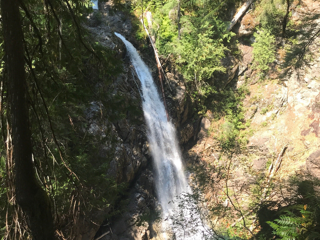 Lower Myra Falls景点图片