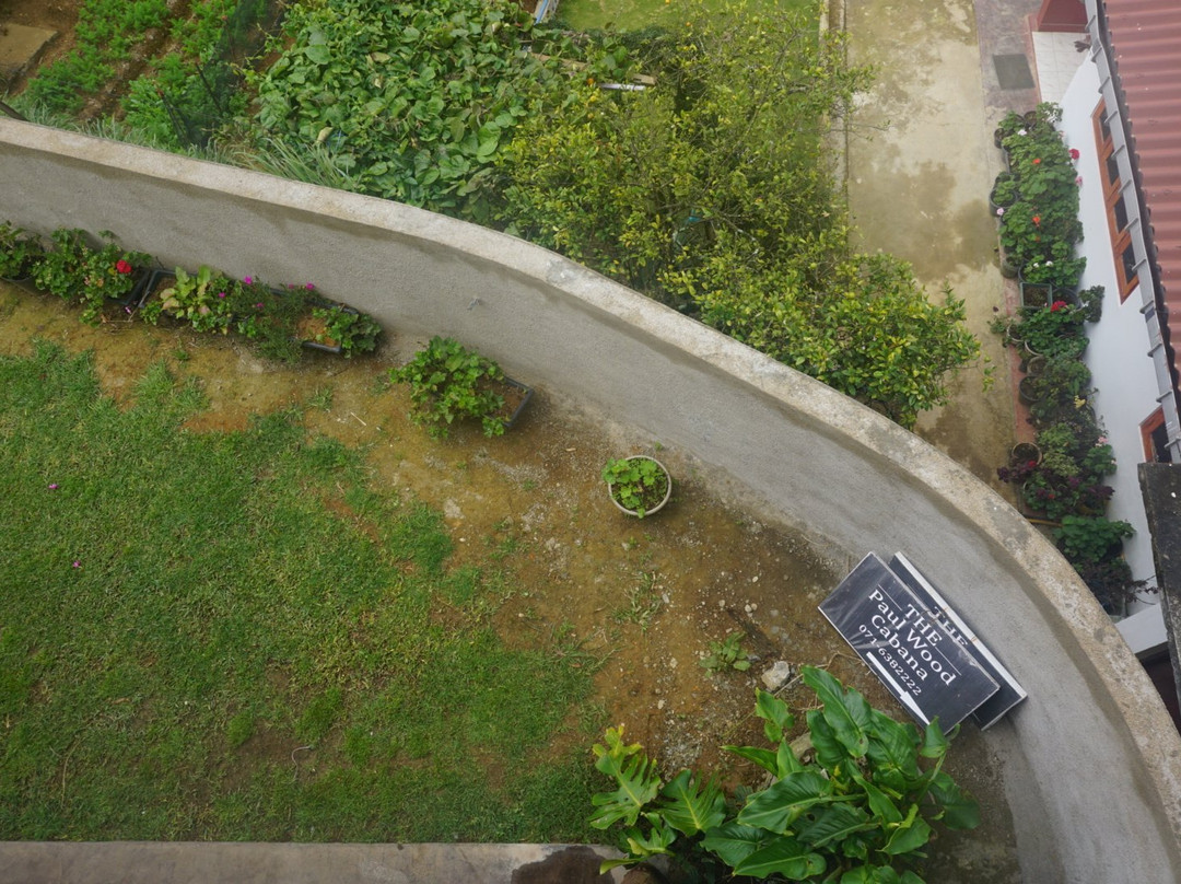 The Paul Wood Cabana主图