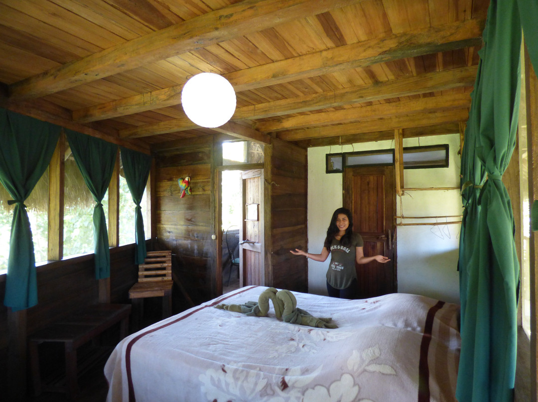 France Amazonia主图