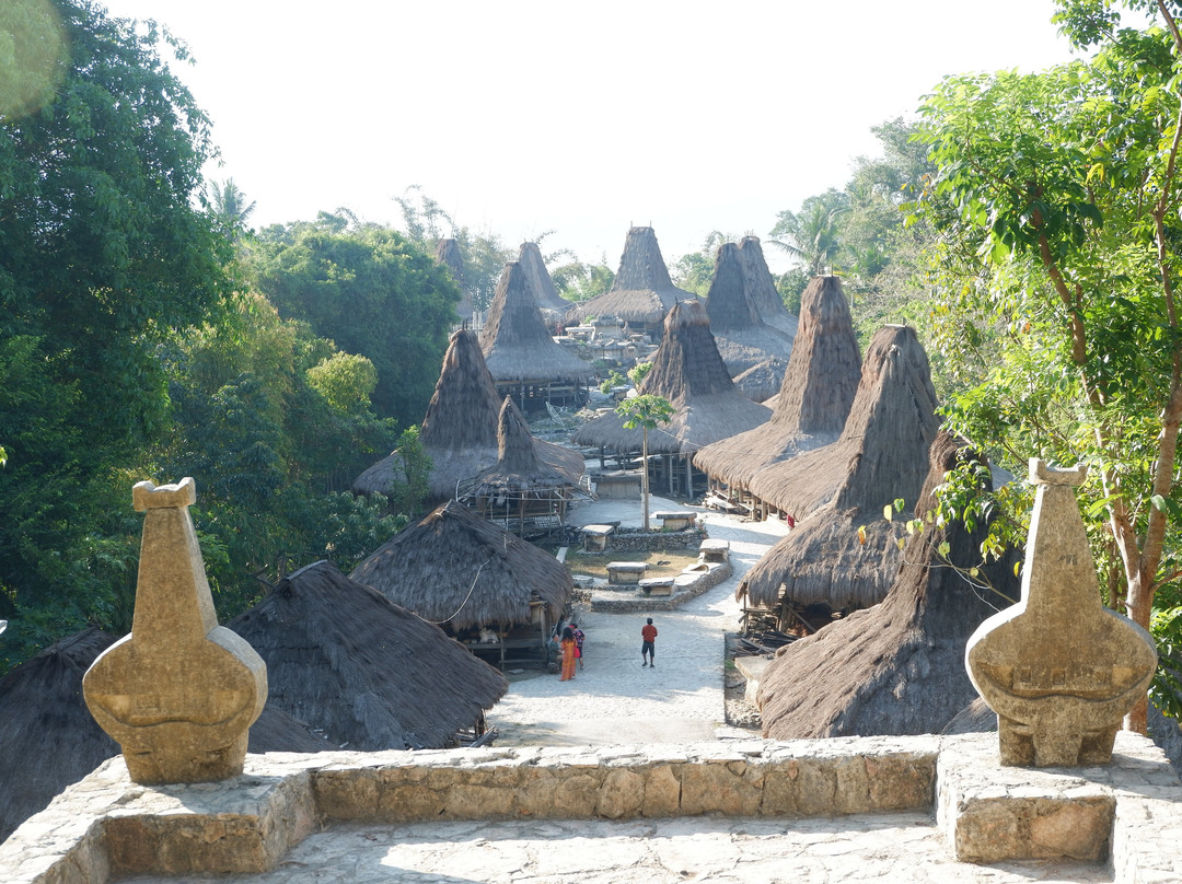 Tarung Cultural Villag景点图片