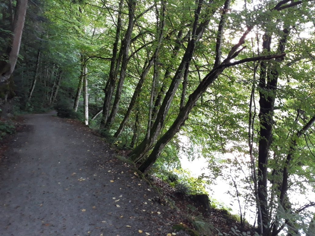 Inn Valley Bicycle Path-帕绍必去景点