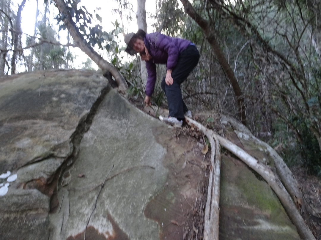 Berowra Valley National Park景点图片