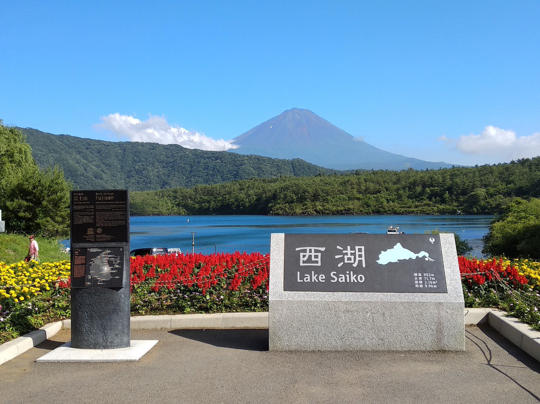 西湖景点图片