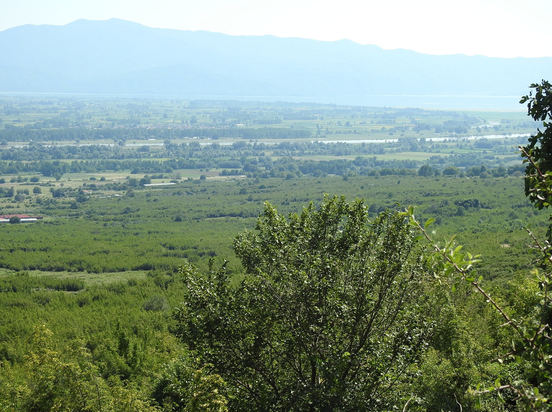 Villa Belles Hotel主图