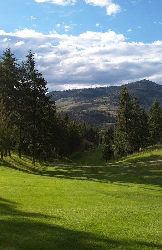 Twin Lakes Golf Course景点图片
