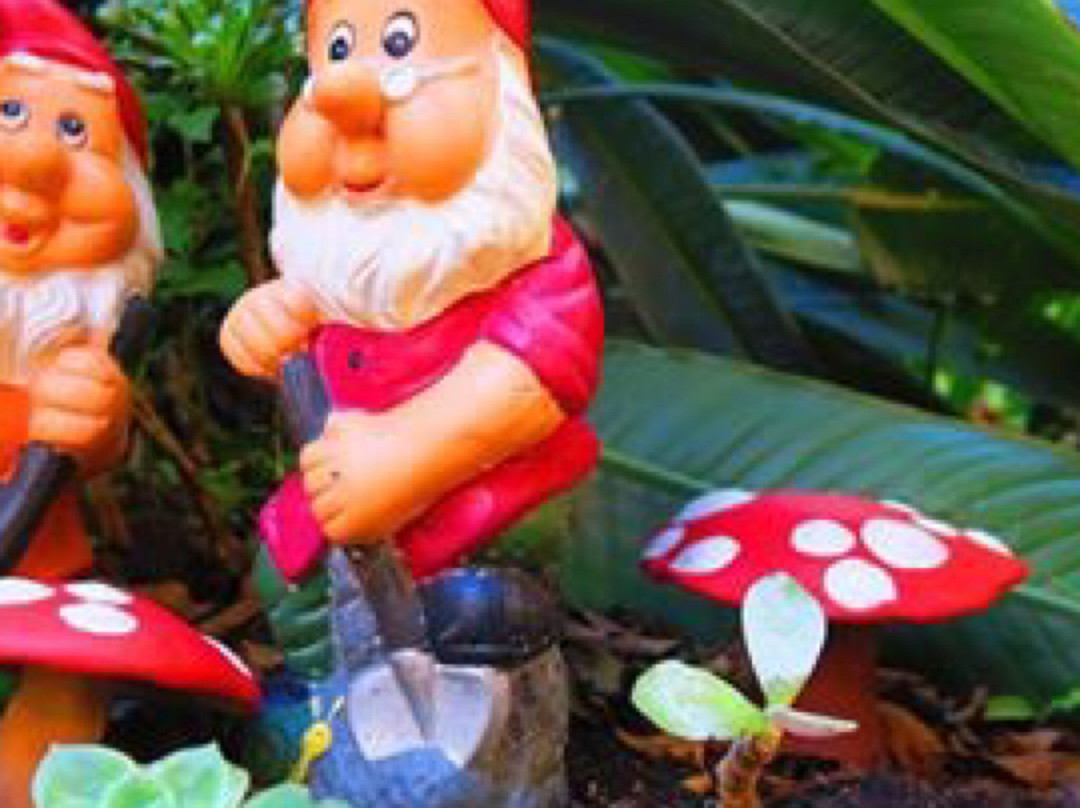 Swellendam fairy sanctuary-斯韦伦丹必去景点