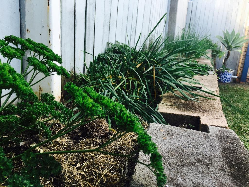 Gin Gin Village Motor Inn Motel主图