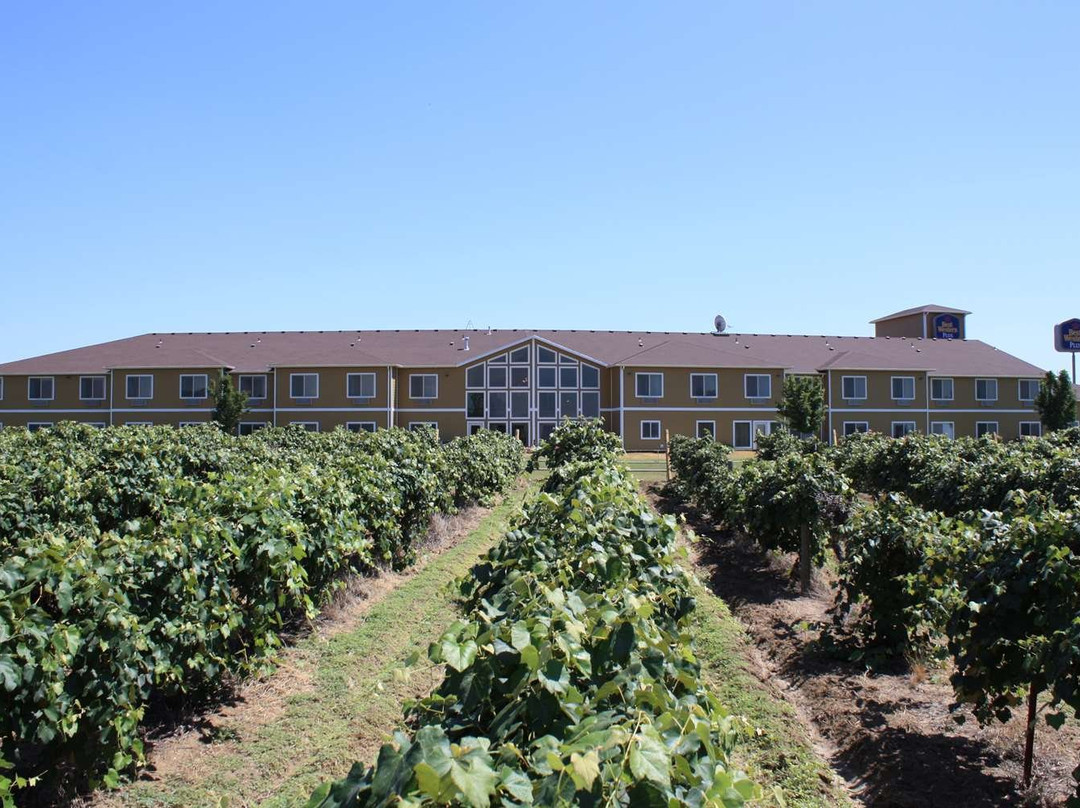 Best Western Plus Grapevine Inn主图