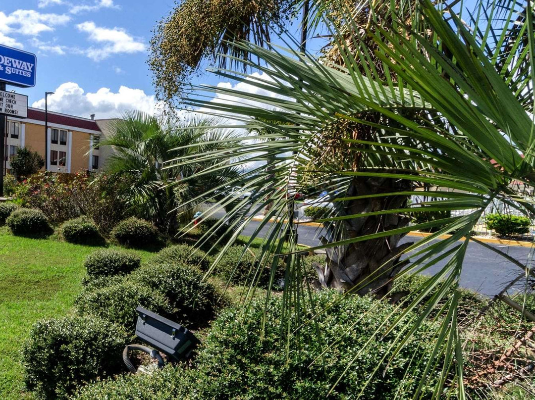 Rodeway Inn & Suites Jacksonville Near Camp Lejeune主图