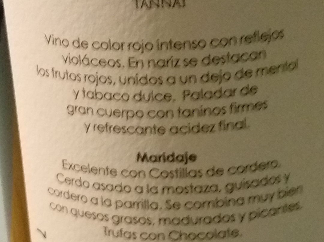 Big Valley Tours-圣克鲁斯省必去景点