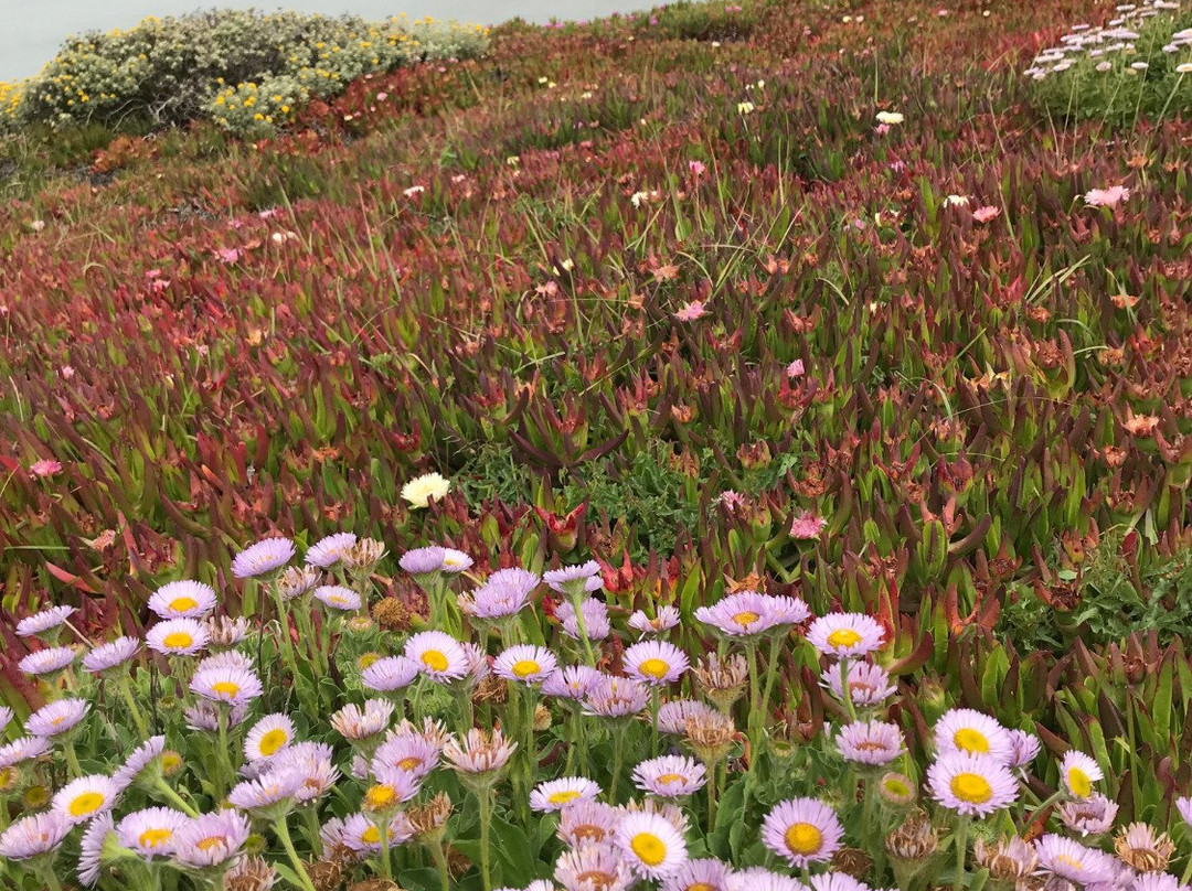 Bluff Trail-坎布里亚必去景点