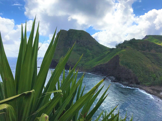 Maui Legend Tours-库拉必去景点