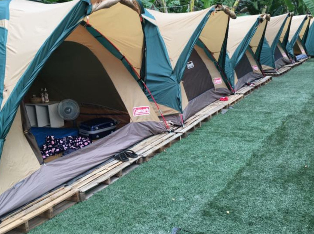 Ve Nha Homestay-Thanh Trieu必去景点