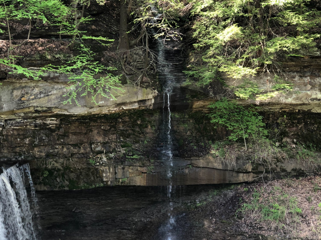 Tinkers Creek Viaduct Park景点图片