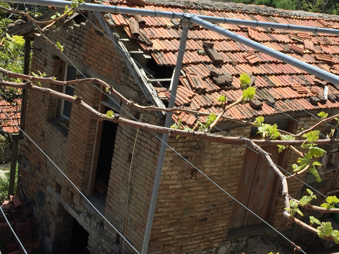 Saranti Village-尼科西亚必去景点