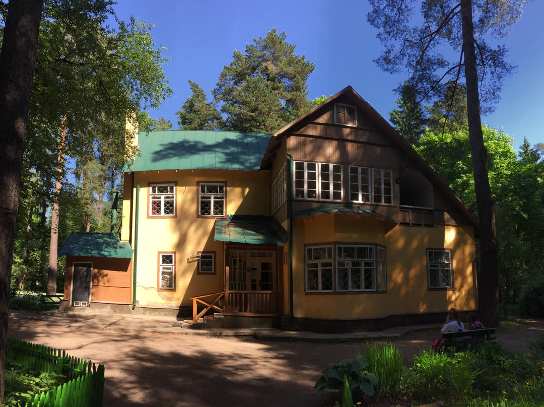 K. Chukovskiy's House Museum景点图片