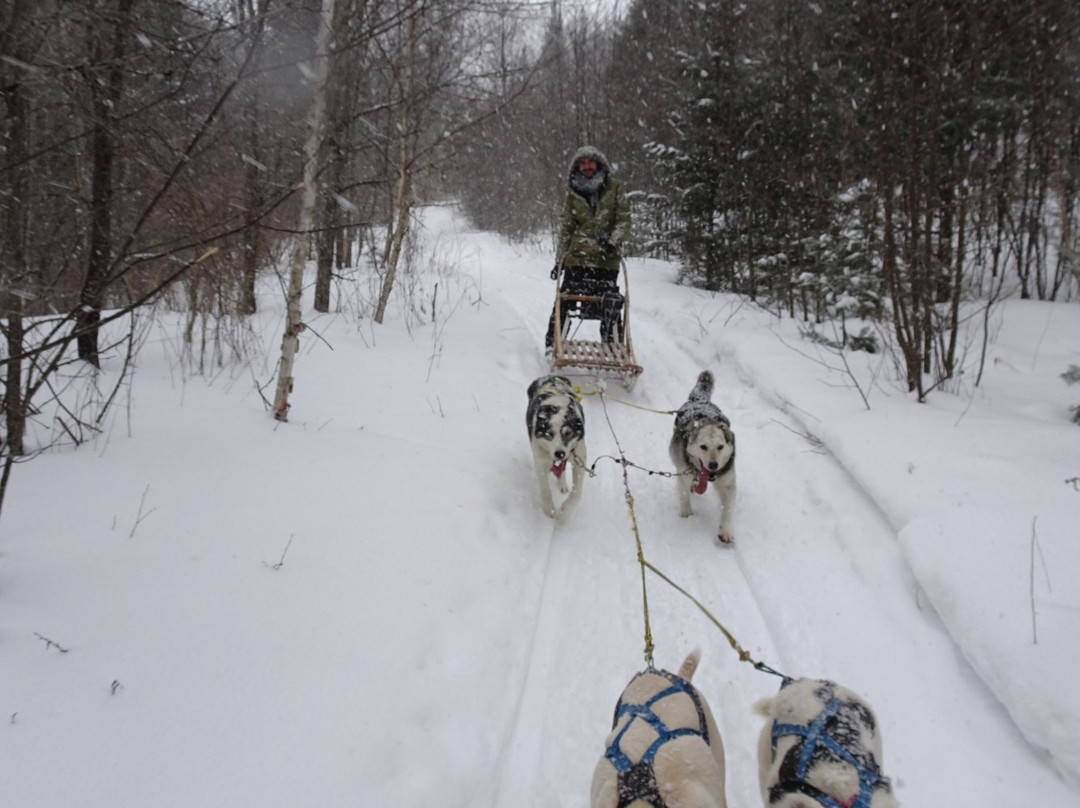 Vie d'Avant-Ture-Mont-Saint-Michel必去景点