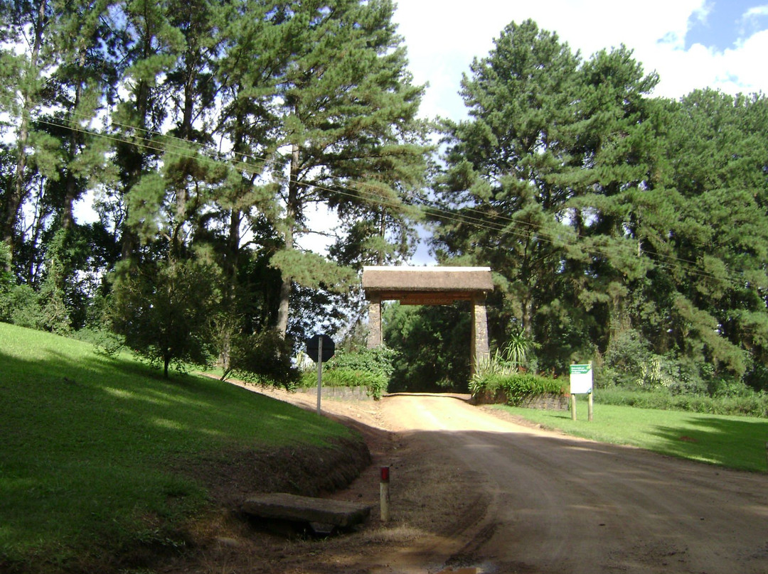 Museum of Wild Fauna and Flora / Klabin's Ecological Park景点图片