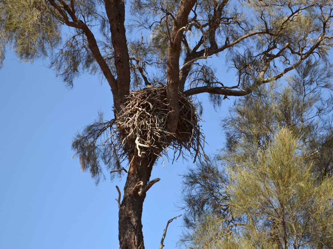 Mallee Tours-Ouyen必去景点