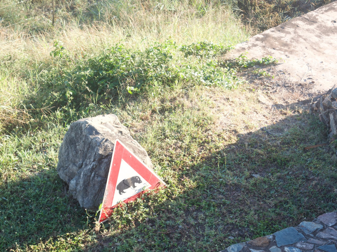 River House Lodge主图