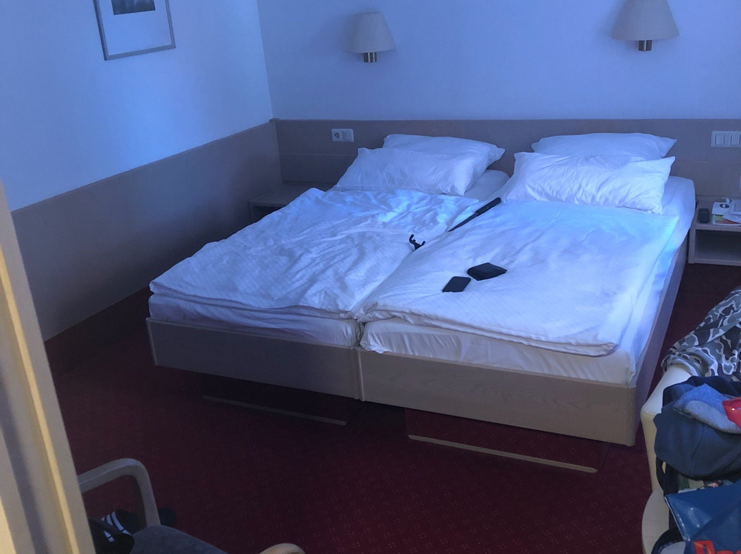 Landgasthof Mayer's Waldhorn主图