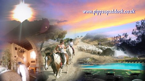 Horse Riding at Pippa's Paddock景点图片