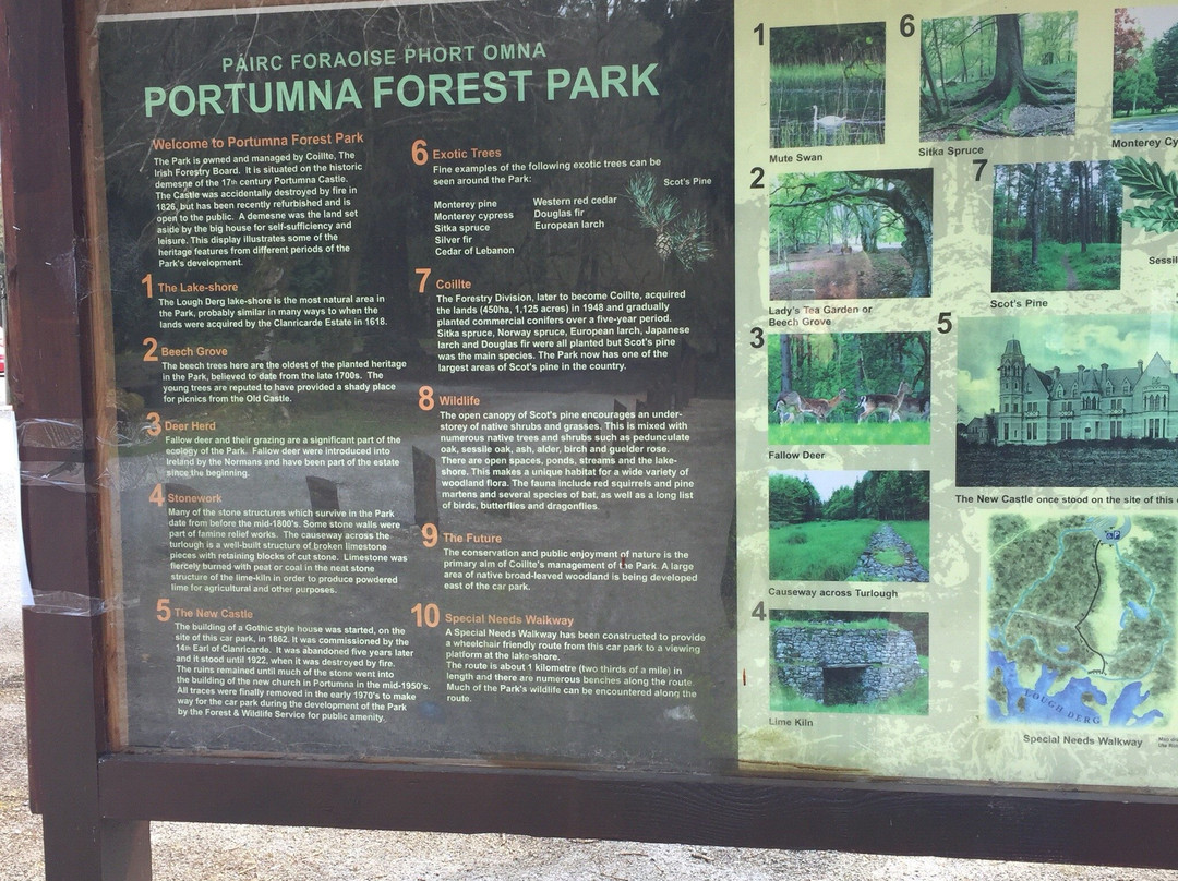 Portumna Forest Park-Portumna必去景点