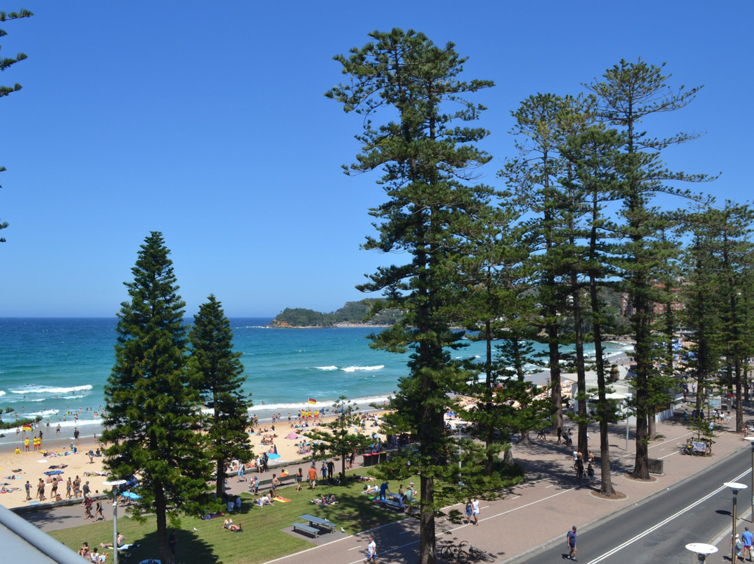 Manly Paradise Beachfront Motel & Apartments主图