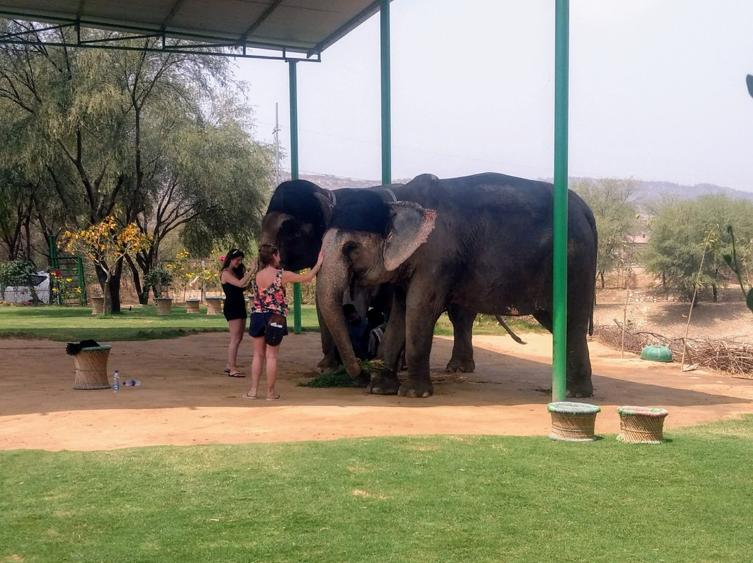 Elefuncity-Amer必去景点