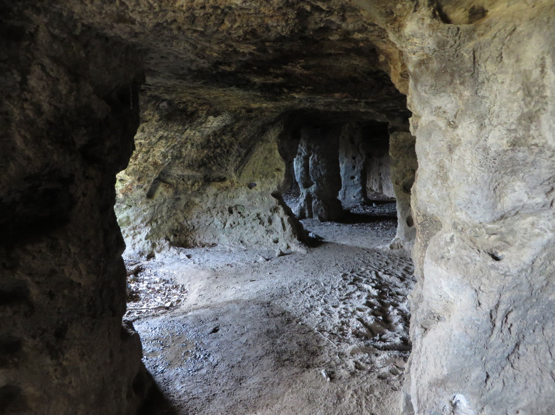 Grotte di San Lorenzo景点图片