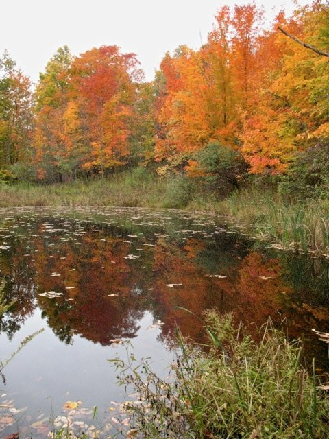 Dreaming Roses Eco-B&B主图