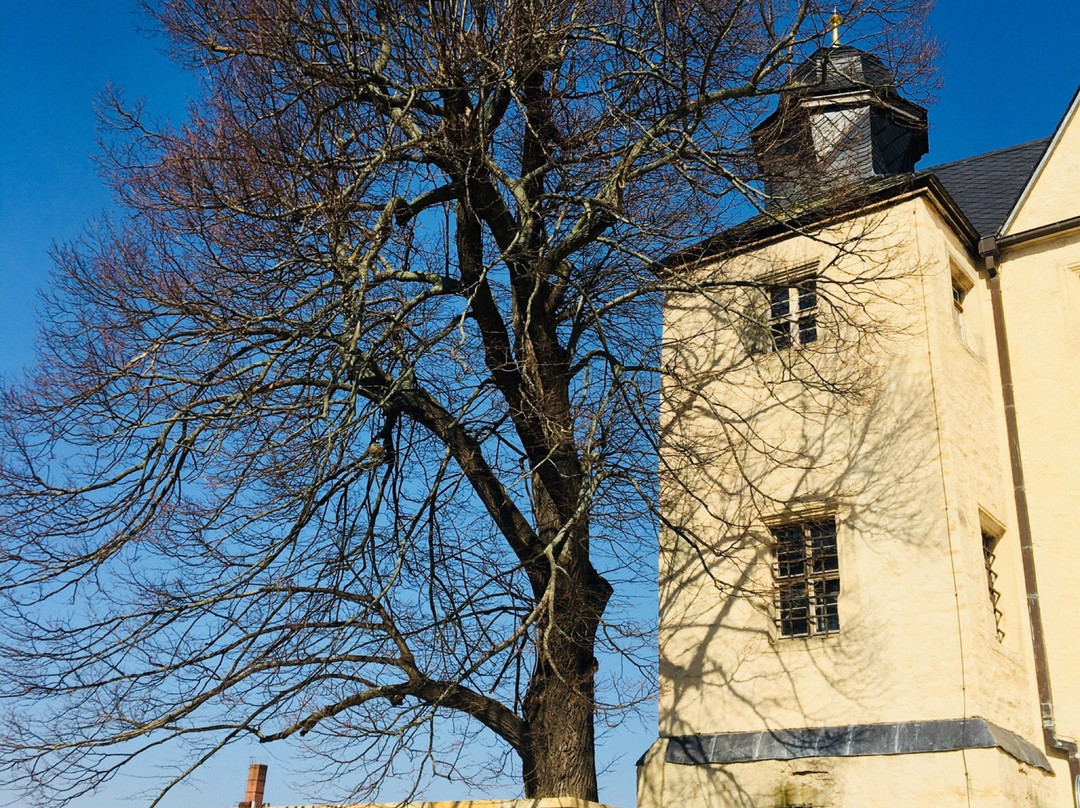 Schloss Kannawurf景点图片