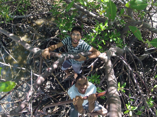 Experiencing Porto-嘎林海斯港必去景点