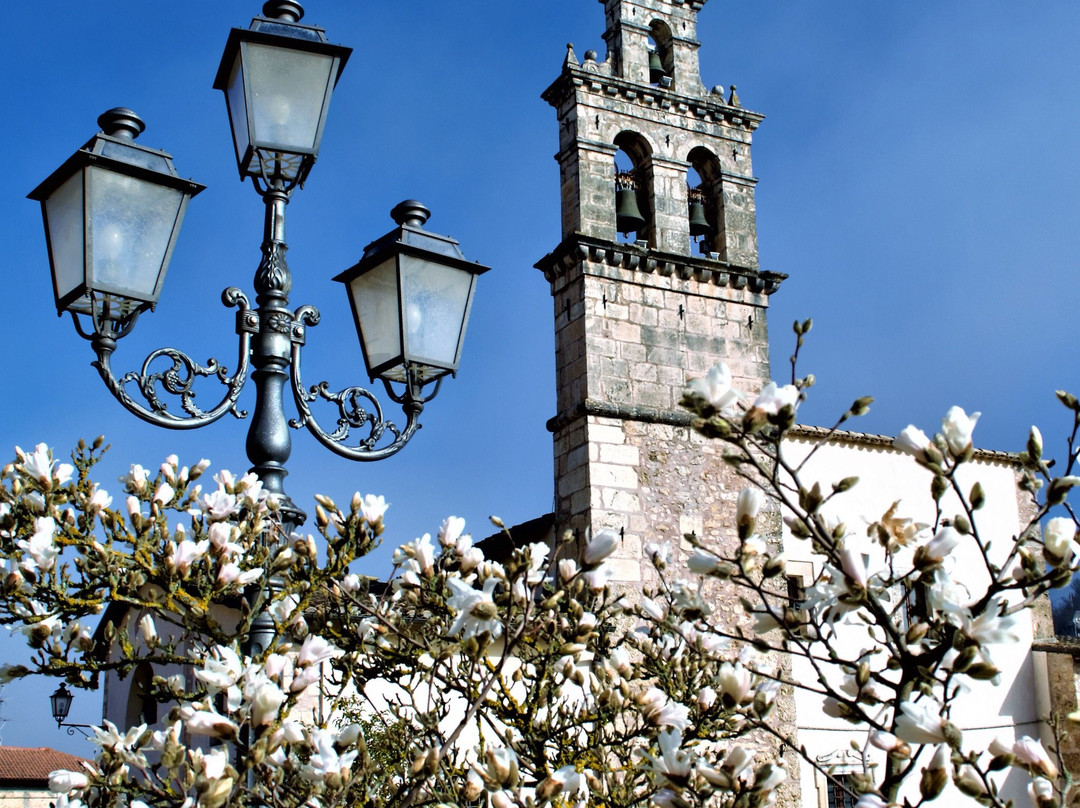 Chiesa di San Nicola di Bari景点图片