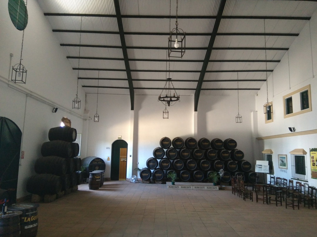 Bodega Delgado Zuleta景点图片