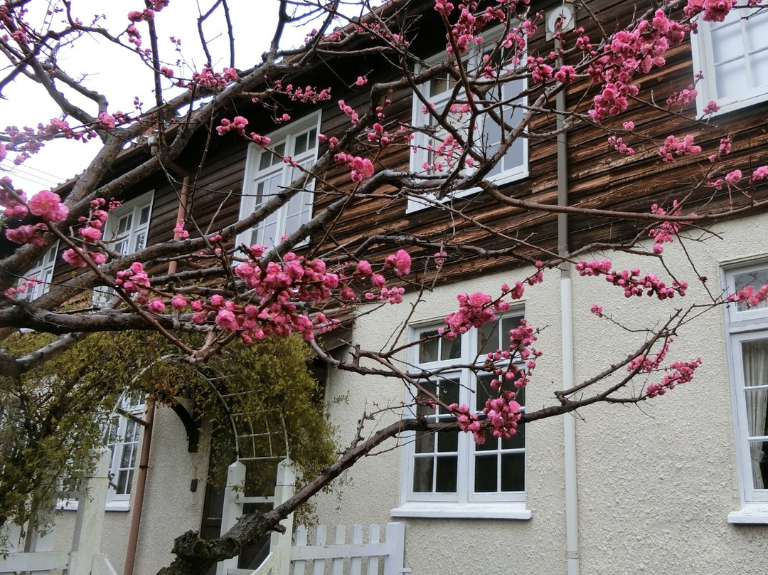 Vories Memorial Hall-近江八幡市必去景点