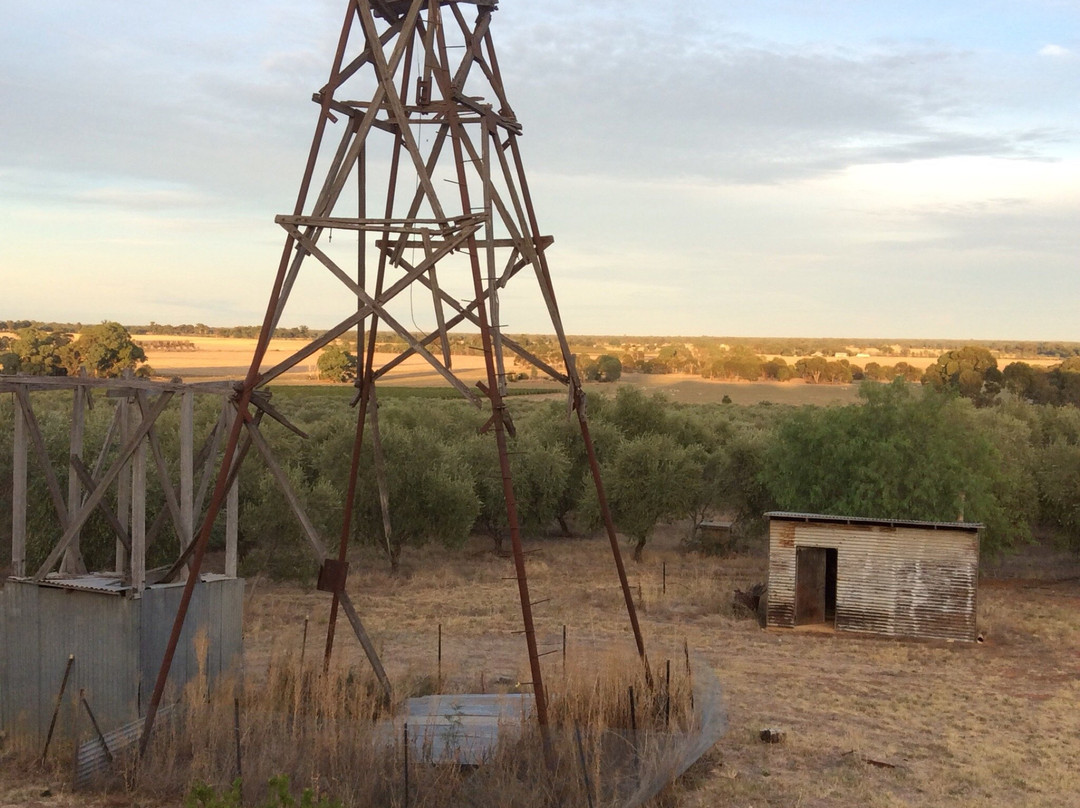 Wicked Virgin Olive Grove-卢森格林必去景点