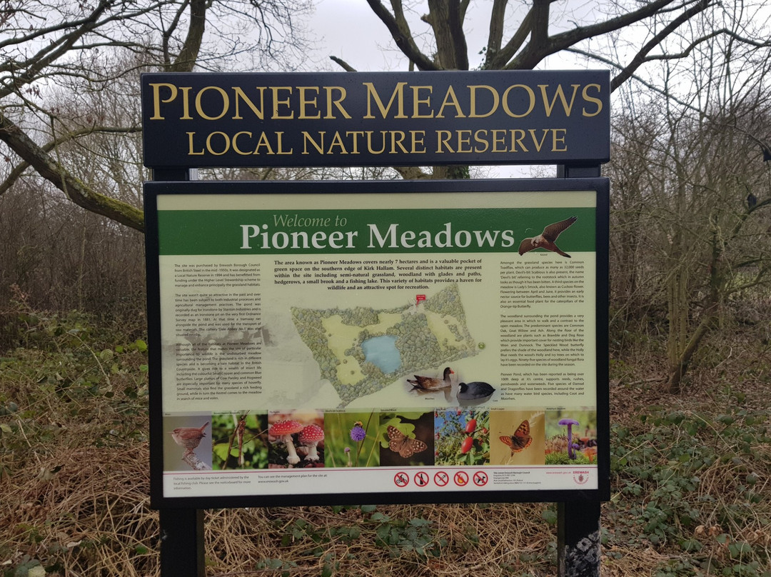 Pioneer Meadows Nature Reserve景点图片