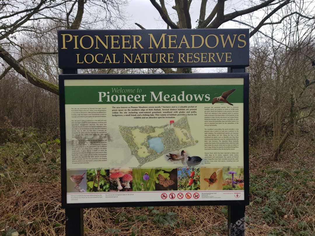 Pioneer Meadows Nature Reserve-Ilkeston必去景点
