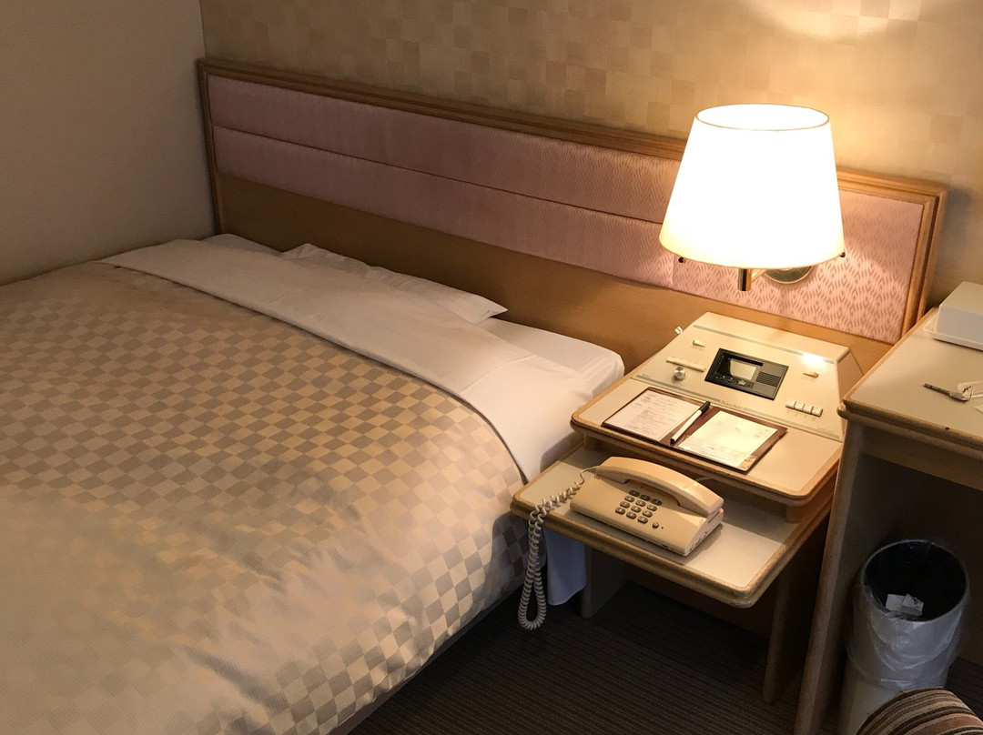 Palace Hotel Kakegawa主图