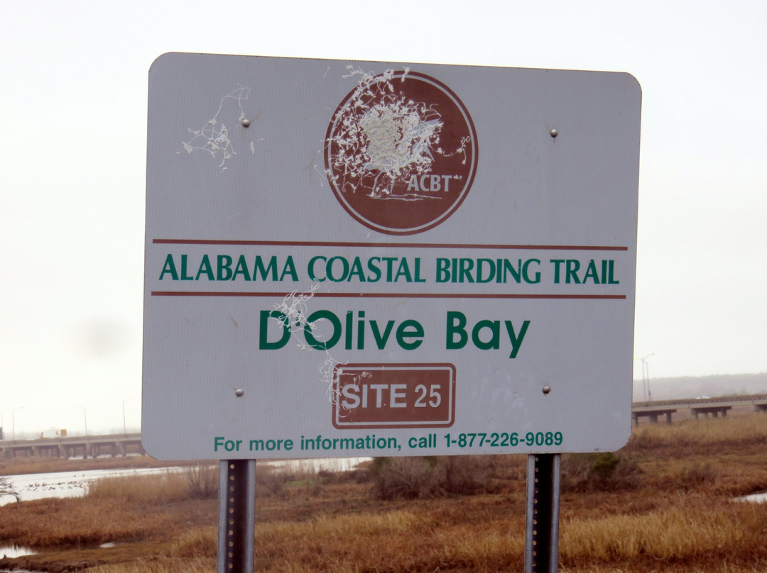 Alabama Coastal Birding Trail-格尔夫海岸必去景点