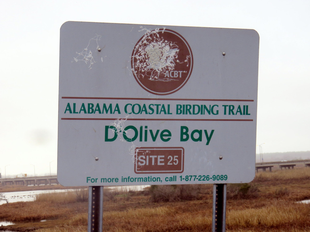 Alabama Coastal Birding Trail景点图片